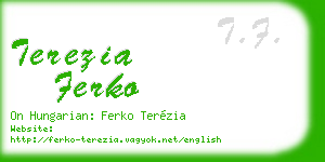 terezia ferko business card